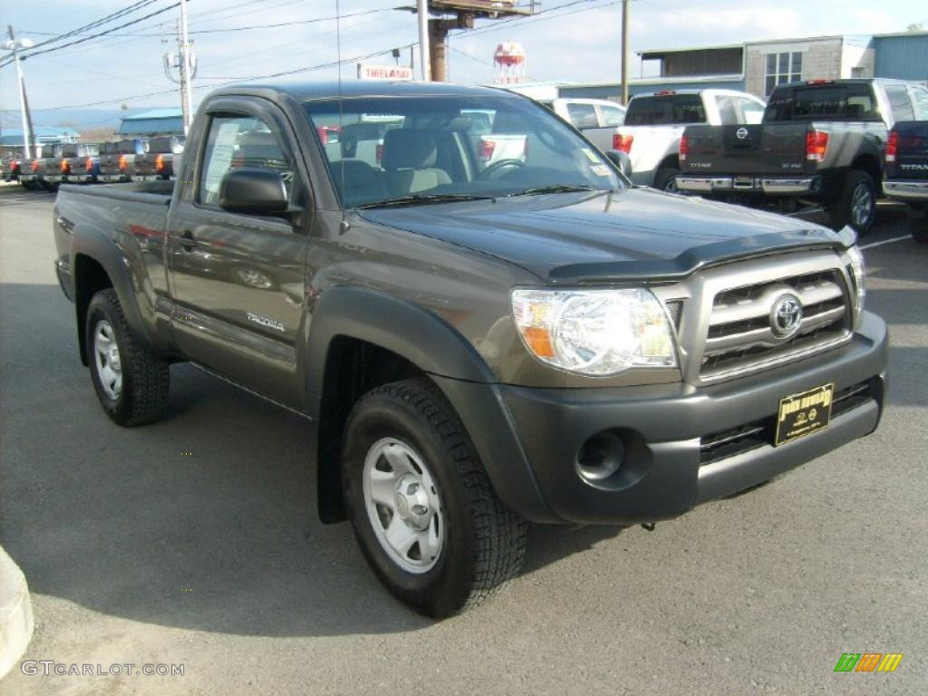 2009 Tacoma Regular Cab 4x4 - Pyrite Brown Mica / Graphite Gray photo #10