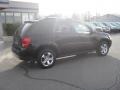 2006 Black Pontiac Torrent AWD  photo #6