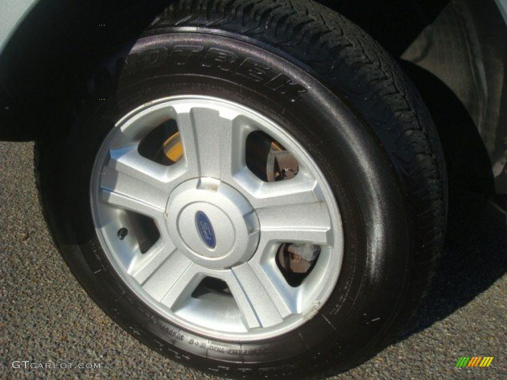 2004 F150 XLT SuperCab - Silver Metallic / Dark Flint photo #18