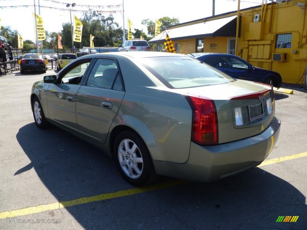 2004 CTS Sedan - Silver Green / Light Neutral photo #4