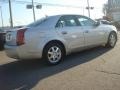 Light Platinum - CTS Sedan Photo No. 5