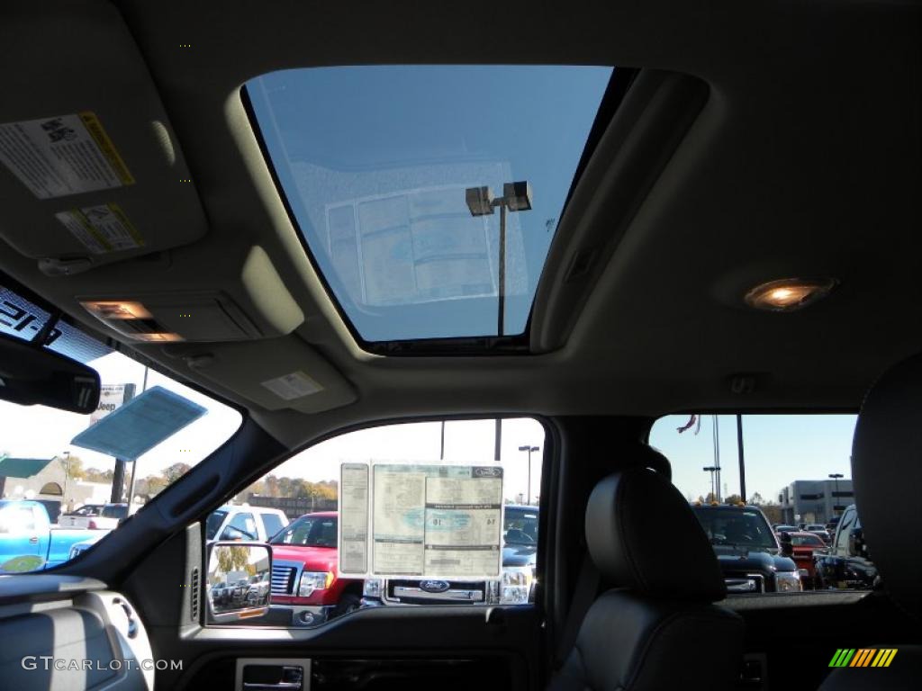 2010 F150 FX4 SuperCrew 4x4 - Ingot Silver Metallic / Black photo #19
