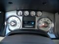 Tan Gauges Photo for 2010 Ford F150 #40323632