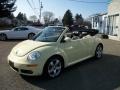 Mellow Yellow - New Beetle 2.5 Convertible Photo No. 31