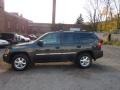 Graphite Gray Metallic - Envoy SLE 4x4 Photo No. 1