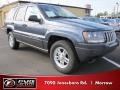 Steel Blue Pearl - Grand Cherokee Laredo Photo No. 4