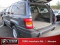 Steel Blue Pearl - Grand Cherokee Laredo Photo No. 9