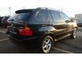 Jet Black - X5 3.0i Photo No. 4