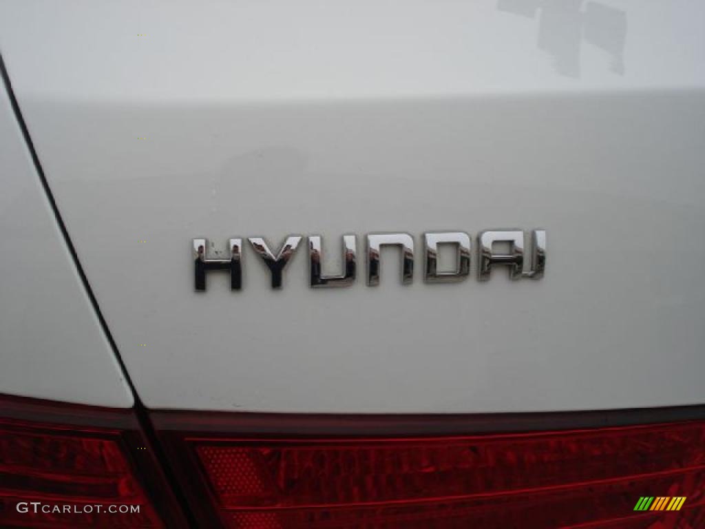 2006 Hyundai Sonata LX V6 Marks and Logos Photo #40340491