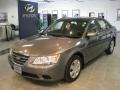 Willow Gray - Sonata GLS Photo No. 2