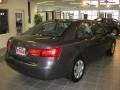 Willow Gray - Sonata GLS Photo No. 6