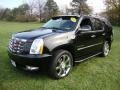 Black Raven 2008 Cadillac Escalade AWD Exterior