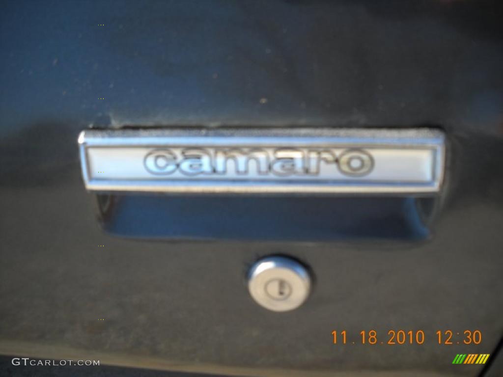 1981 Camaro Z28 Coupe - Charcoal / Gray photo #19