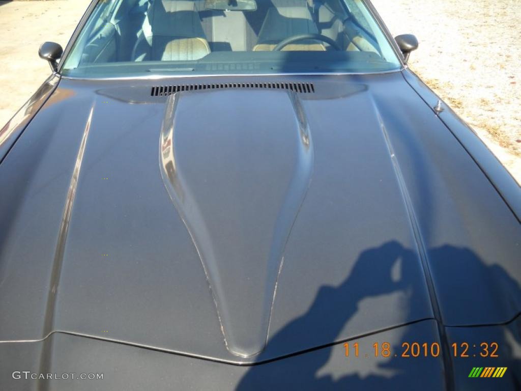 1981 Camaro Z28 Coupe - Charcoal / Gray photo #25