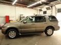 Light French Silk Metallic - Mountaineer Premier AWD Photo No. 3