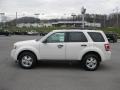 2011 White Suede Ford Escape XLT V6 4WD  photo #1