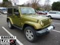 Rescue Green Metallic - Wrangler Sahara 4x4 Photo No. 1