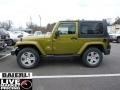 Rescue Green Metallic - Wrangler Sahara 4x4 Photo No. 3