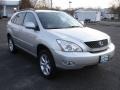 Millenium Silver Metallic - RX 350 AWD Photo No. 3