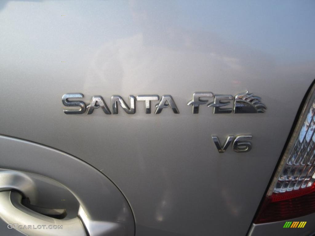 2003 Santa Fe GLS - Pewter / Gray photo #6
