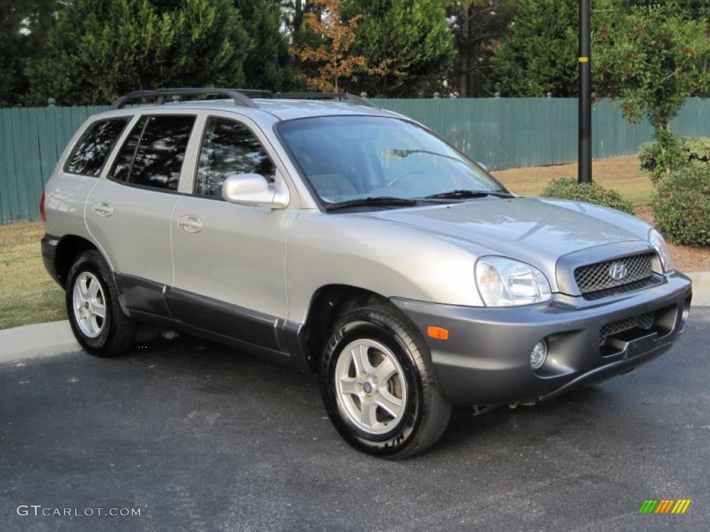 Pewter 2003 Hyundai Santa Fe GLS Exterior Photo #40362605