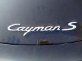  2010 Cayman S Logo