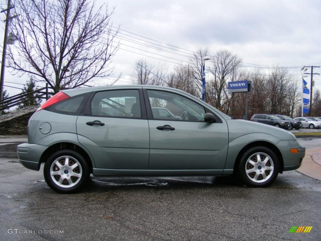 Light Tundra Metallic 2005 Ford Focus ZX5 SE Hatchback Exterior Photo #40364233