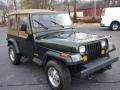 Moss Green Pearl - Wrangler Rio Grande 4x4 Photo No. 11