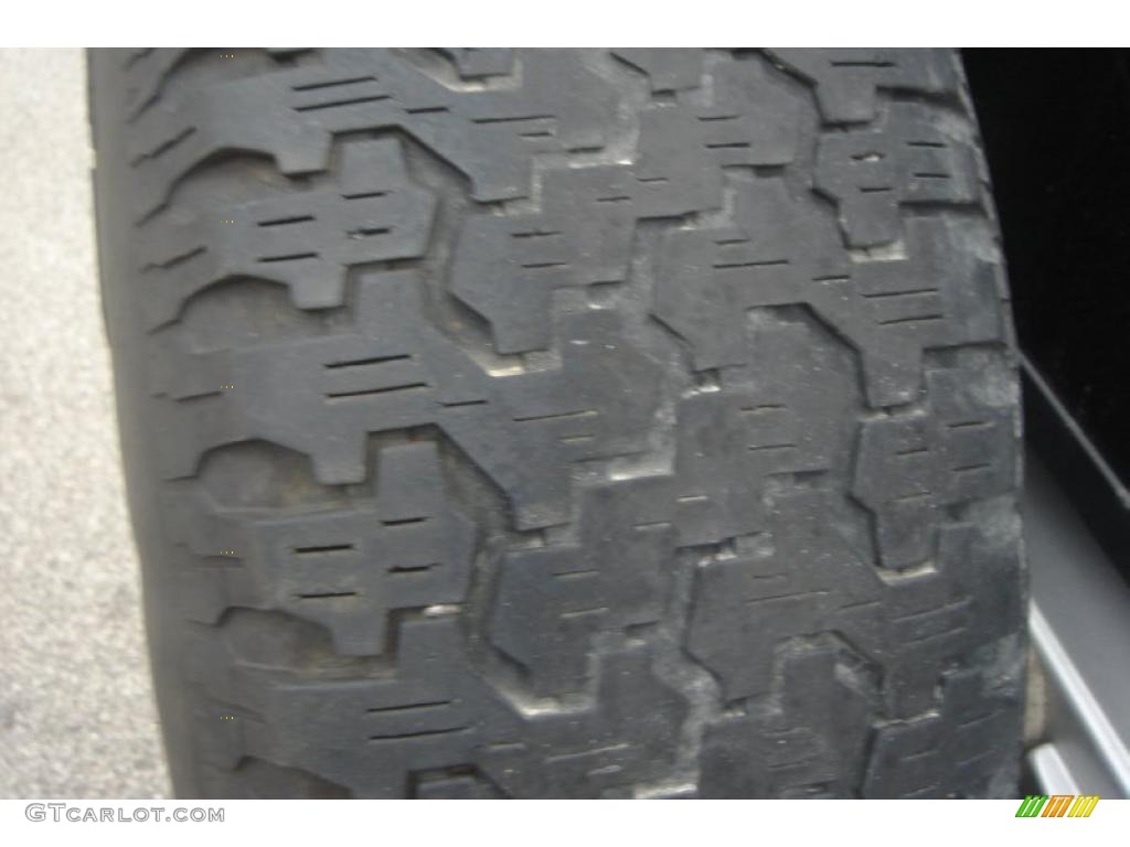 2004 Wrangler X 4x4 - Bright Silver Metallic / Dark Slate Gray photo #5