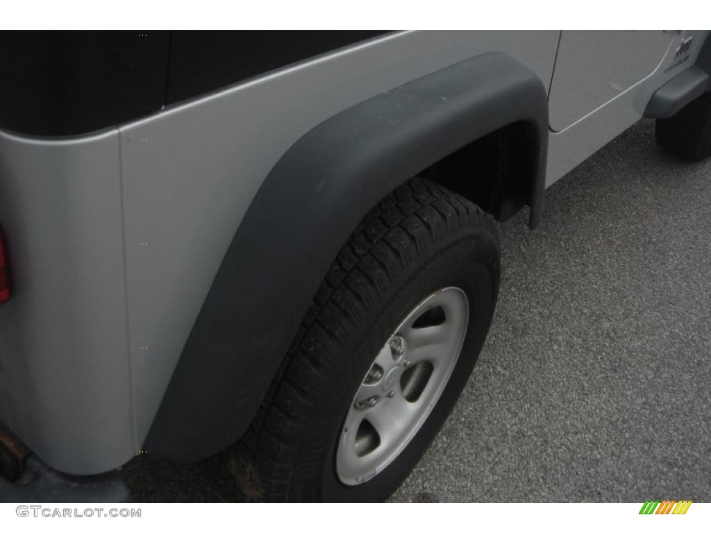 2004 Wrangler X 4x4 - Bright Silver Metallic / Dark Slate Gray photo #6