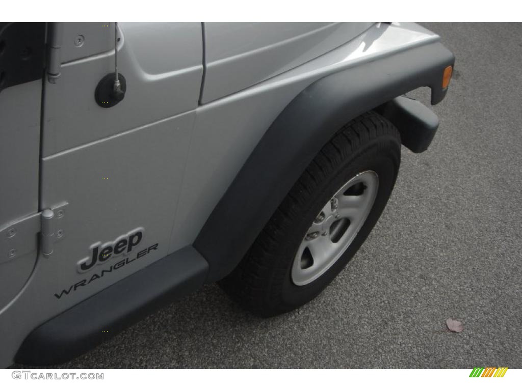 2004 Wrangler X 4x4 - Bright Silver Metallic / Dark Slate Gray photo #10