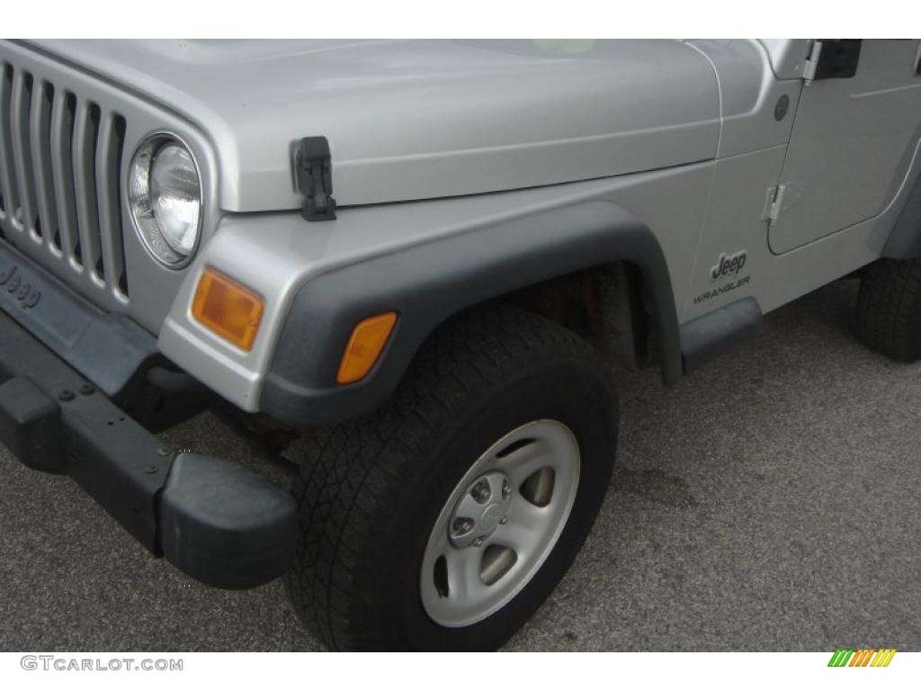 2004 Wrangler X 4x4 - Bright Silver Metallic / Dark Slate Gray photo #19