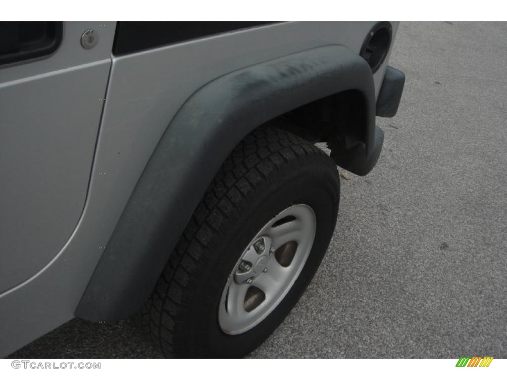 2004 Wrangler X 4x4 - Bright Silver Metallic / Dark Slate Gray photo #25