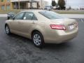 Sandy Beach Metallic - Camry  Photo No. 4