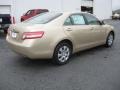 Sandy Beach Metallic - Camry  Photo No. 6