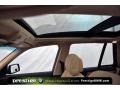 Platinum Bronze Metallic - X3 3.0si Photo No. 11