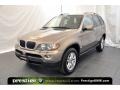 Kalahari Beige Metallic - X5 3.0i Photo No. 1