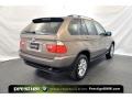 Kalahari Beige Metallic - X5 3.0i Photo No. 2