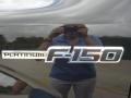 2010 Tuxedo Black Ford F150 Platinum SuperCrew 4x4  photo #12