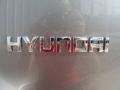 2011 Hyundai Santa Fe Limited Marks and Logos