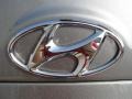 2011 Hyundai Santa Fe Limited Marks and Logos