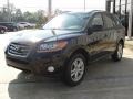 2011 Phantom Black Metallic Hyundai Santa Fe SE  photo #7