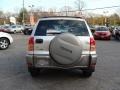 Titanium Metallic - RAV4 4WD Photo No. 6