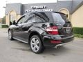 Black - ML 350 Photo No. 5