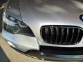 Titanium Silver Metallic - X5 3.0si Photo No. 9