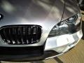 Titanium Silver Metallic - X5 3.0si Photo No. 10