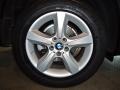Titanium Silver Metallic - X5 3.0si Photo No. 46