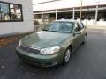 Silver Green - L Series L200 Sedan Photo No. 11