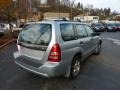 Platinum Silver Metallic - Forester 2.5 XS Photo No. 4