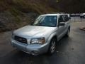 Platinum Silver Metallic - Forester 2.5 XS Photo No. 11